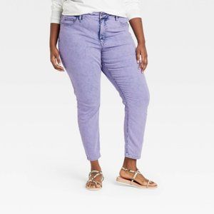 Plus Size High-Rise Skinny Jeans